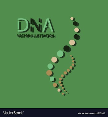 Molecules concept of neurons and nervous system vector image