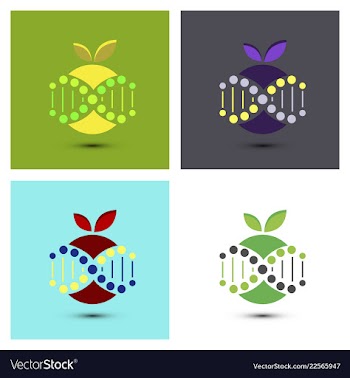 Molecules concept of neurons and nervous system vector image