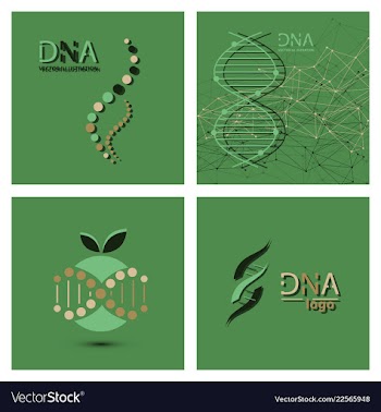 Molecules concept of neurons and nervous system vector image