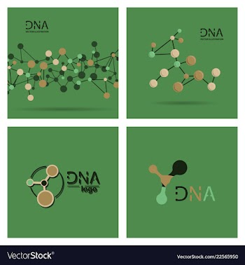 Molecules concept of neurons and nervous system vector image