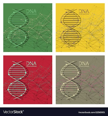 Molecules concept of neurons and nervous system vector image