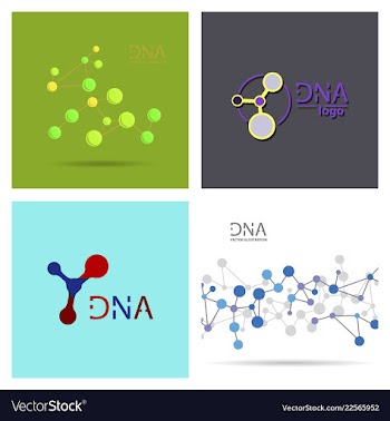 Molecules concept of neurons and nervous system vector image