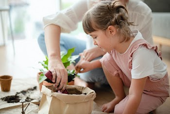 Mom and daughter DIY plant potting at home | Free stock photo | High Resolution image