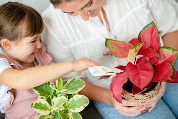 Mom and daughter taking care of indoor plants… | Free stock photo | High Resolution image