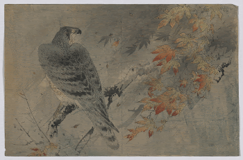 [Momiji ni washi]. Original from the Library | Free Photo - rawpixel