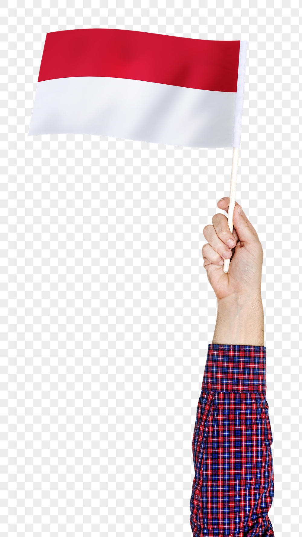 Monaco's flag png in hand | Free PNG - rawpixel