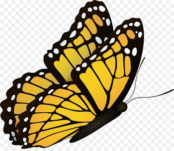 Monarch butterfly