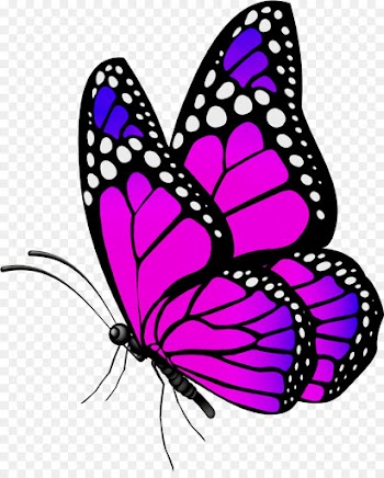 Monarch butterfly