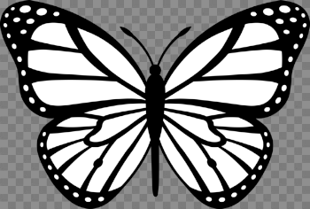 Monarch Butterfly Black White | Free Images at PNGio - vector ...