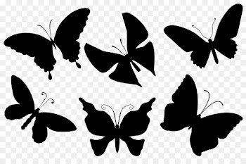 Monarch Butterfly, Brushfooted Butterflies, Insect, Butterfly, Moths And Butterflies PNG