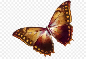 Monarch Butterfly, Brushfooted Butterflies, Pieridae, Moths And Butterflies, Butterfly PNG