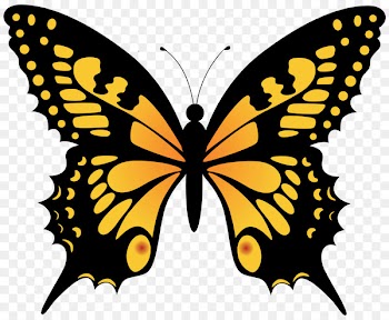 Monarch butterfly Clip art Brush-footed butterflies Portable Network Graphics Image - pine ornament 