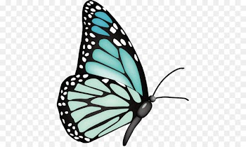 Monarch butterfly Clip art - butterfly 
