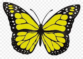 Monarch butterfly Clip art Drawing Image -  