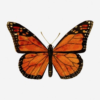 Monarch butterfly collage element, vintage | Free Photo - rawpixel