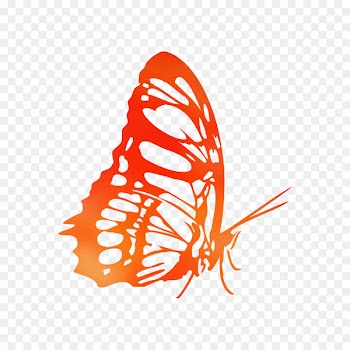 Monarch butterfly Coloring book Illustration Drawing -  