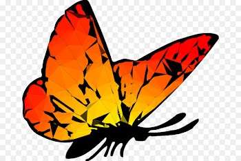 Monarch butterfly Drawing Clip art Image -  