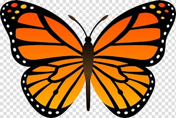Monarch butterfly Drawing Insect , Sale Sticker transparent background PNG clipart