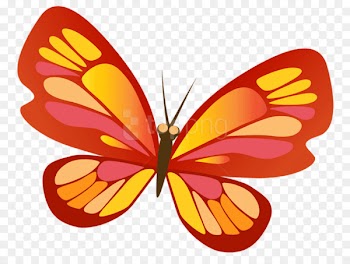 Monarch Butterfly, Insect, Butterfly Weed, Moths And Butterflies, Butterfly PNG