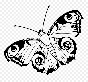 Monarch butterfly Insect Clip art Brush-footed butterflies - teri background 