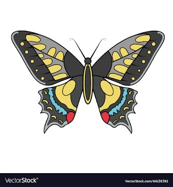 monarch butterfly isolated on white background