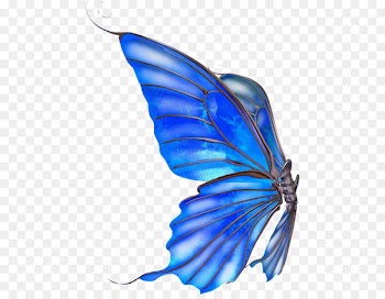 Monarch butterfly Jellyfish Blue - butterfly 