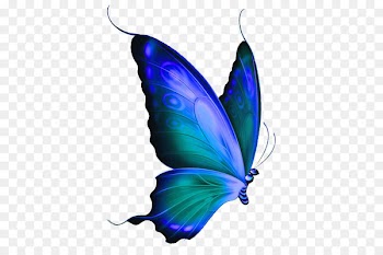 Monarch butterfly Morpho menelaus Blue Clip art - butterfly 
