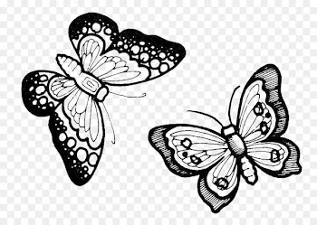 Monarch butterfly Moth Pterygota Paper butterflies - aak 