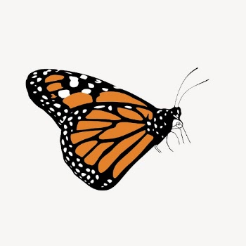Monarch butterfly sticker, insect illustration | Free Vector - rawpixel