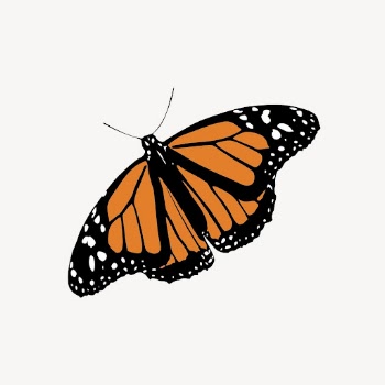 Monarch butterfly sticker, insect illustration | Free Vector - rawpixel