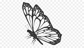Monarch butterfly Vector graphics Illustration Silhouette - ulysses cartoon 