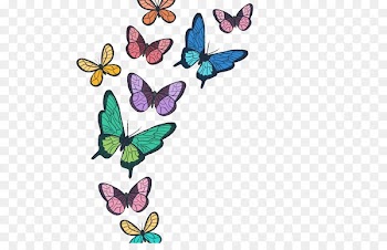 Monarch butterfly Watercolor painting - Colorful butterfly 