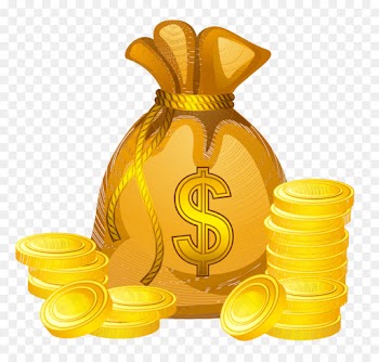 Money bag