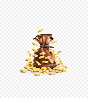 Money bag Coin - Vector gold will fly gold coins 