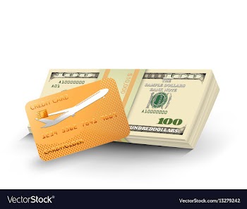Money credit card vector image