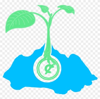 Money Seed Marketing Llogo - Marketing