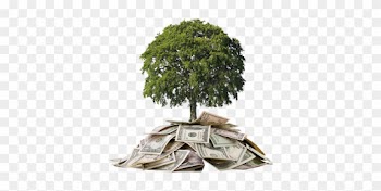Money-tree About Us - Financing Your Twenties [book]