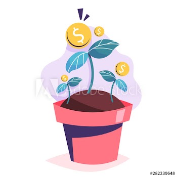 Money tree in the pot