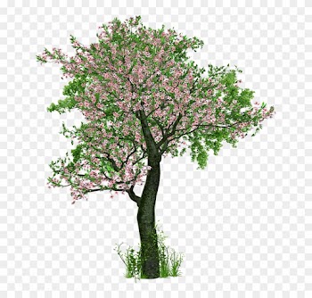 Money Tree Pictures 16, Buy Clip Art - Feline: Notebook / Journal With 150 Lined Pages