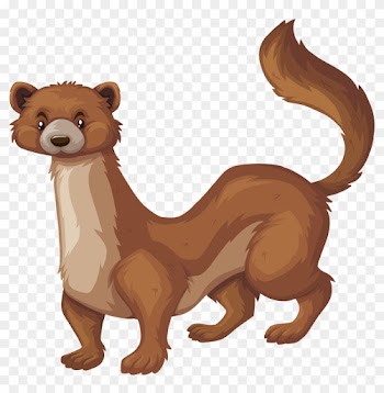 Mongoose Royalty-free Clip Art - Mongoose Royalty-free Clip Art
