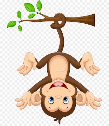 Monkey Cartoon Clip art - monkey 