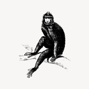 Monkey clipart, wild animal illustration | Free Vector Illustration - rawpixel