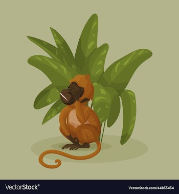 monkey facepalm in the jungle leaves