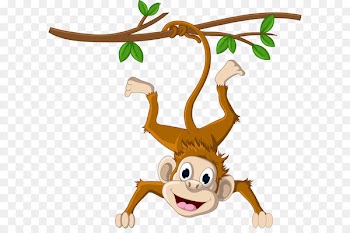 Monkey hanging from a tree 