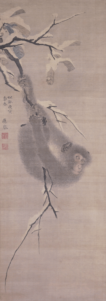 monkey hanging from branch; snow | Free Photo - rawpixel