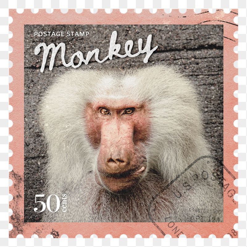 Monkey png post stamp sticker, | Free PNG - rawpixel