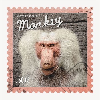 Monkey postage stamp, animal collage | Free PSD - rawpixel