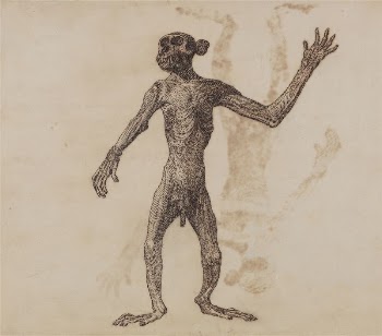 Monkey Standing, Anterior View by George | Free Photo - rawpixel