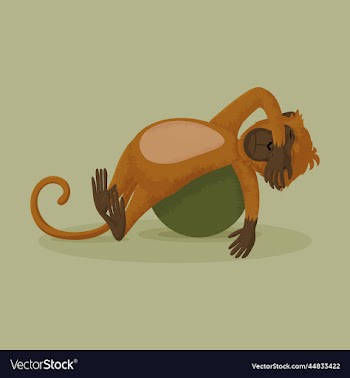 monkey tired lying on the ball