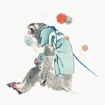 Monkey wearing a surgical mask during the coronavirus pandemic | Free  transparent png - 2318594
